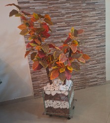 Vaso de chão